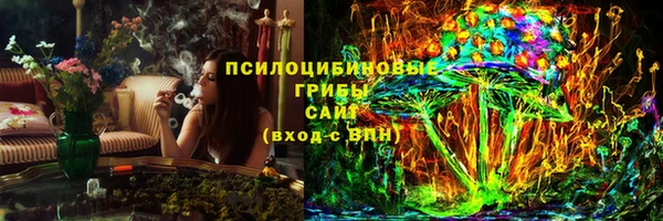 2c-b Горняк