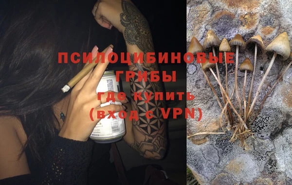 дмт Горнозаводск