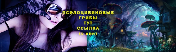дмт Горнозаводск