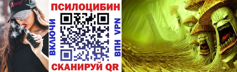 Галлюциногенные грибы Psilocybe Серпухов
