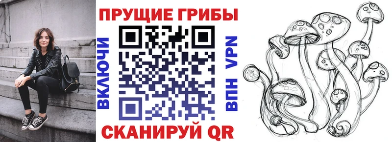 Галлюциногенные грибы MAGIC MUSHROOMS  Серпухов 
